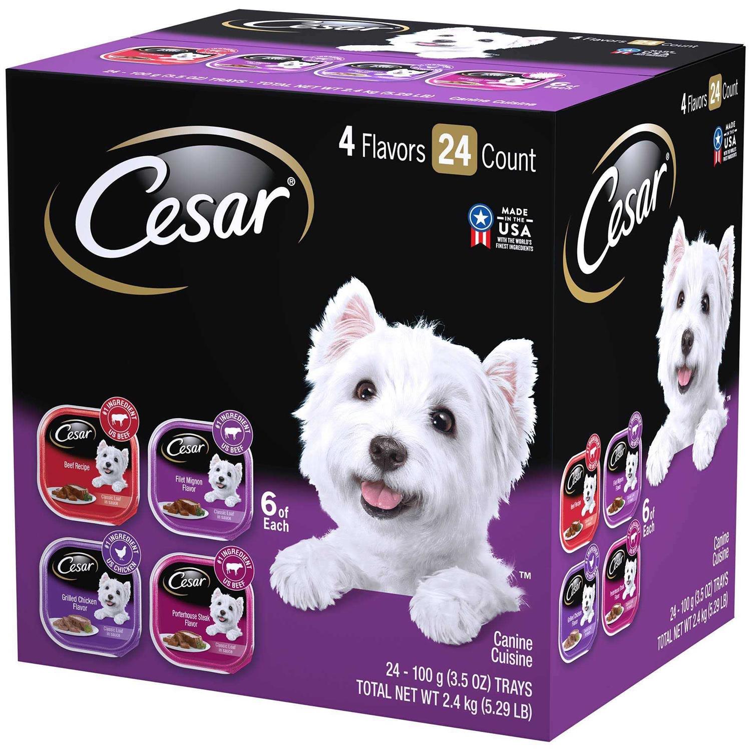 Cesar Classic Loaf in Sauce Wet Dog Food Variety Pack - Healthber