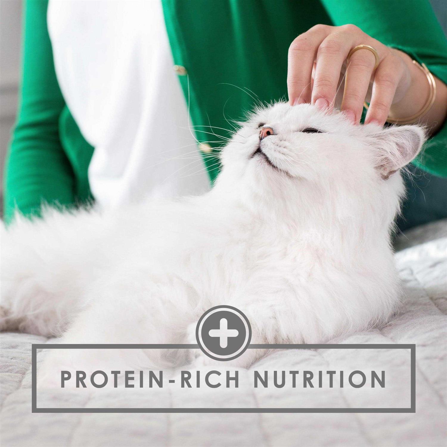 Fancy Feast Seafood Grilled Wet Cat Food - Healthber
