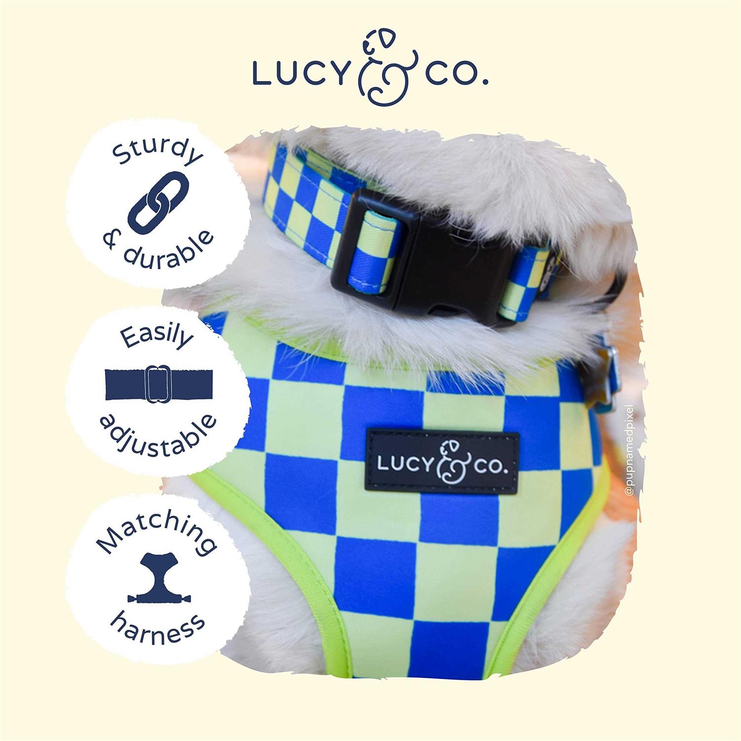 Lucy & Co. Have A Nice Day Dog Collar – Durable Lightweight Designer Collar for Pets – Adjustable Metal Safety Buckel – Lime Green Blue Checker – - Healthber
