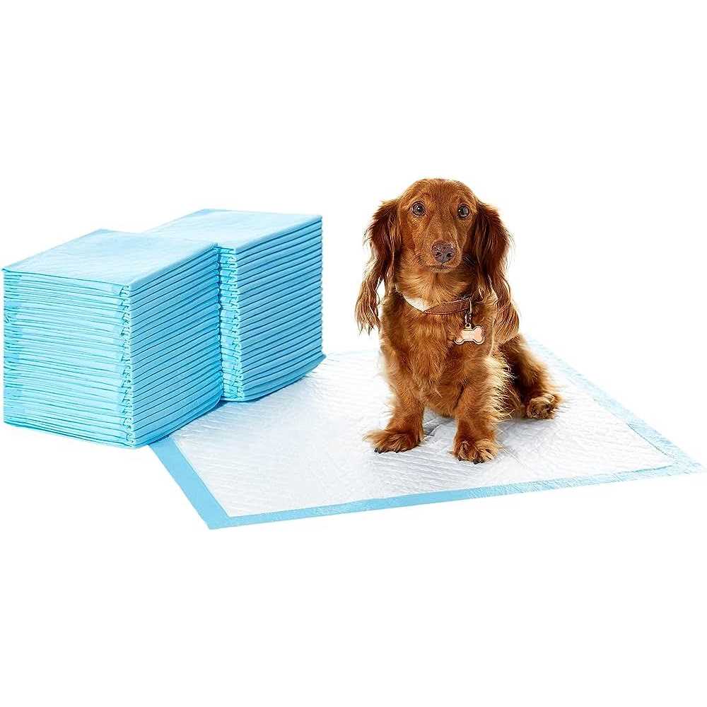 Amazon Basics Dog and Puppy Pee Pads with 5-Layer Leak-Proof Design and Quick-Dry Surface for Potty Training - Healthber