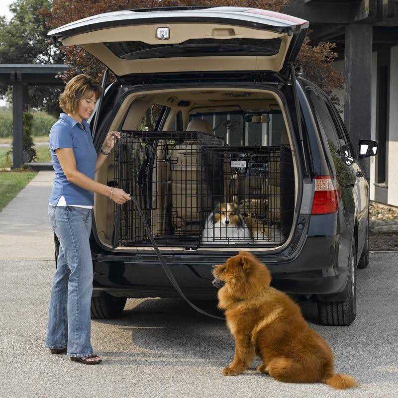 Midwest Solutions Series Side-by-Side Double Door SUV Dog Crates - Healthber