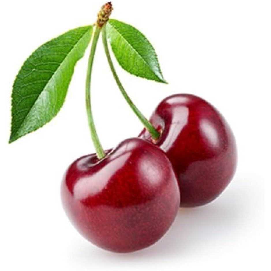 Vet’s Best Bitter Cherry Spray - Healthber
