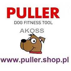 Waterproof Dog Collar with QR passport - Healthber