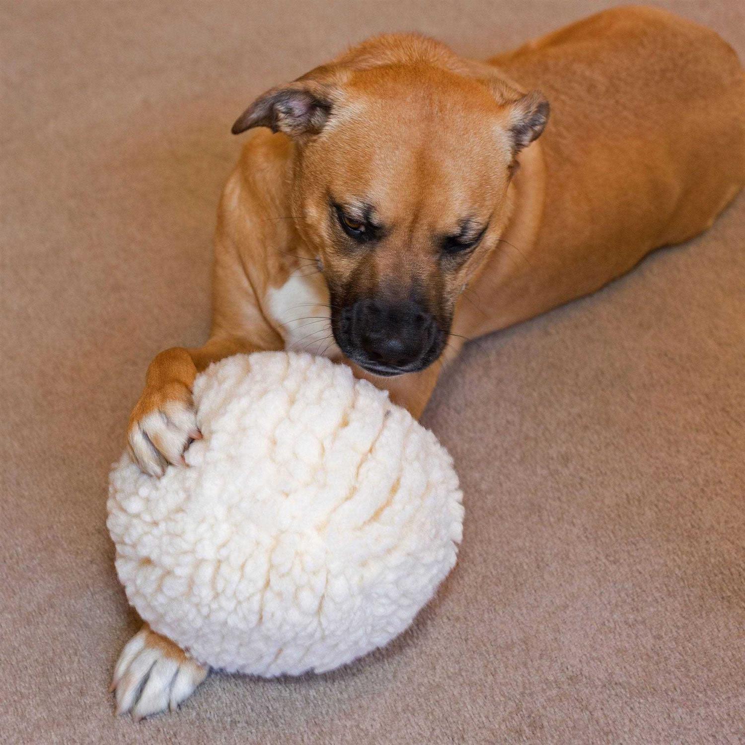 HuggleHounds HuggleFleece Ball Dog Toy - Healthber