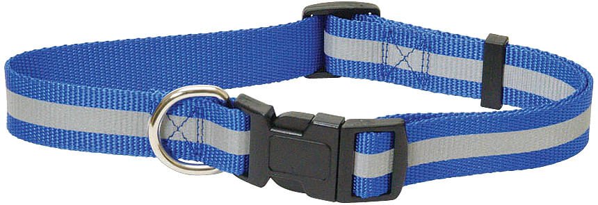 Reflective Nylon Dog Collar, 1