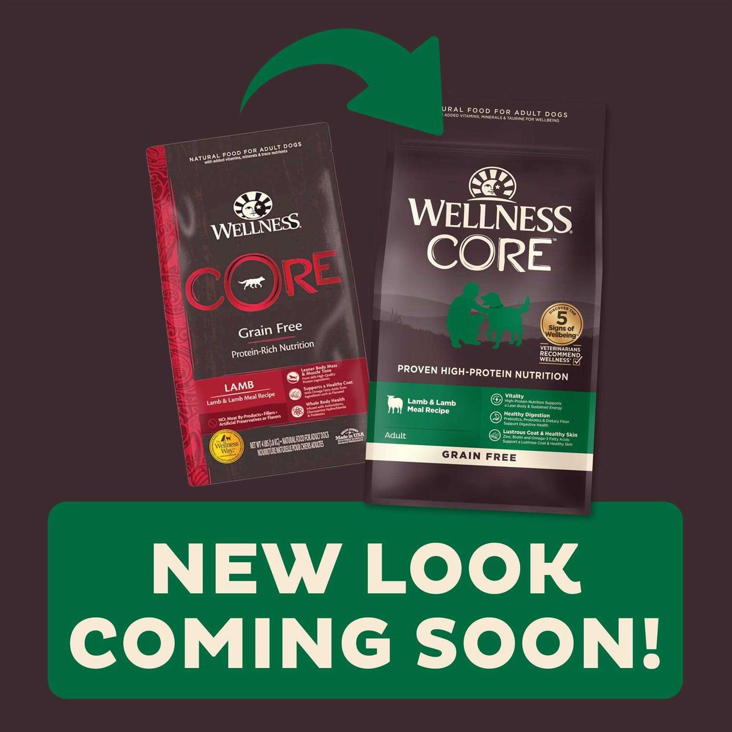 Wellness Core Natural Grain Free Lamb Dry Dog Food - Healthber