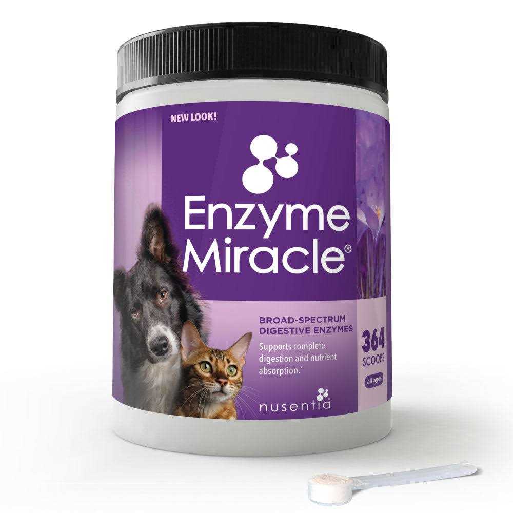Enzyme Miracle Digestive - Healthber