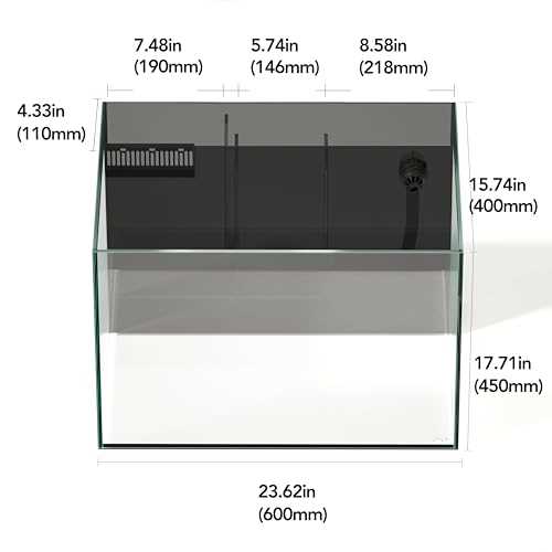 Landen 60P 26.23 Gallon Ultra Clear All Glass Rimless Low Iron Aquarium Tank with Rear Filtration Chamber for Salt and Fresh (Return Pump Included) - Healthber