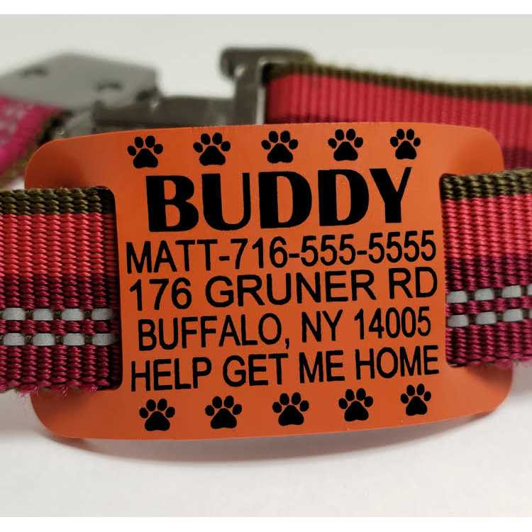 Dog Collar Tag Silent Slide On Pet ID Tags Premium Pet IDs Safe Silicone Rubber - Healthber