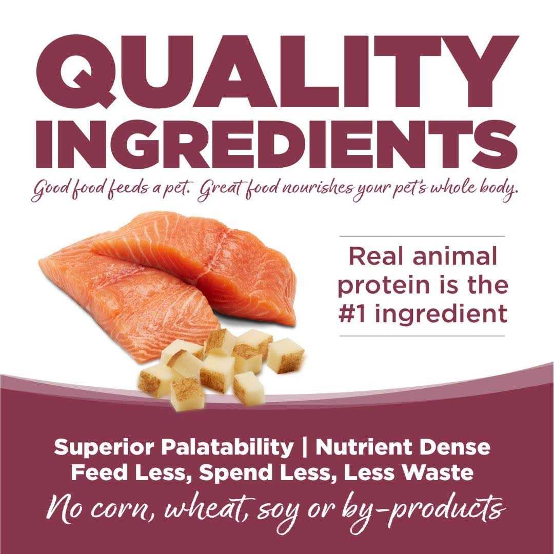 PureVita Salmon Potato Dry Dog Food - Healthber
