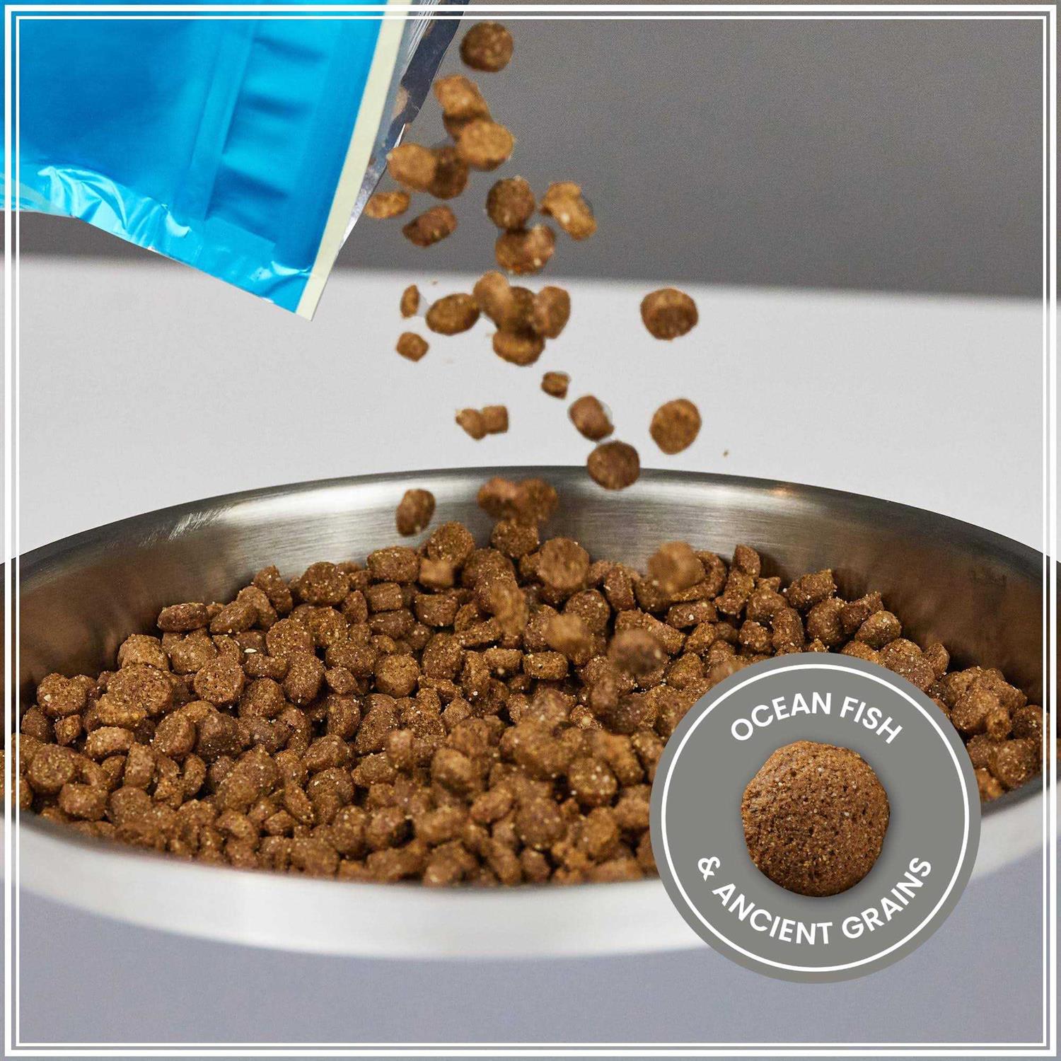 Muenster Ancient Grains with Ocean Fish Dog Food - Healthber