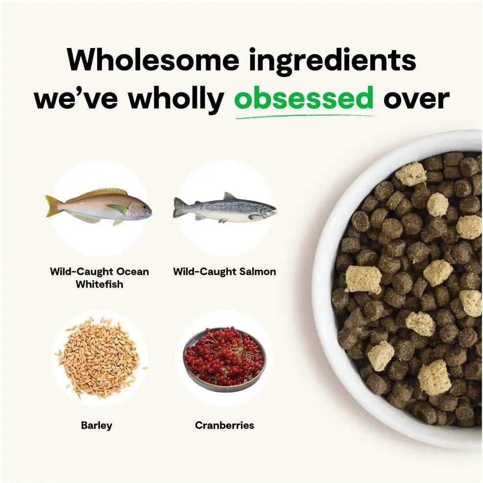 Open Farm Wild Ocean Ancient Grains RawMix Dog Food - Healthber