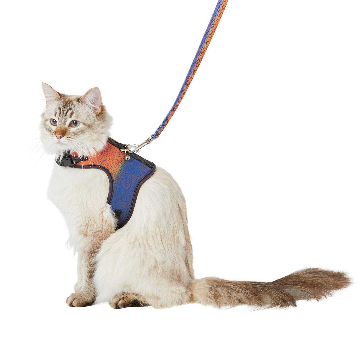 Whisker City Cat Leash & Harness Combo - Healthber