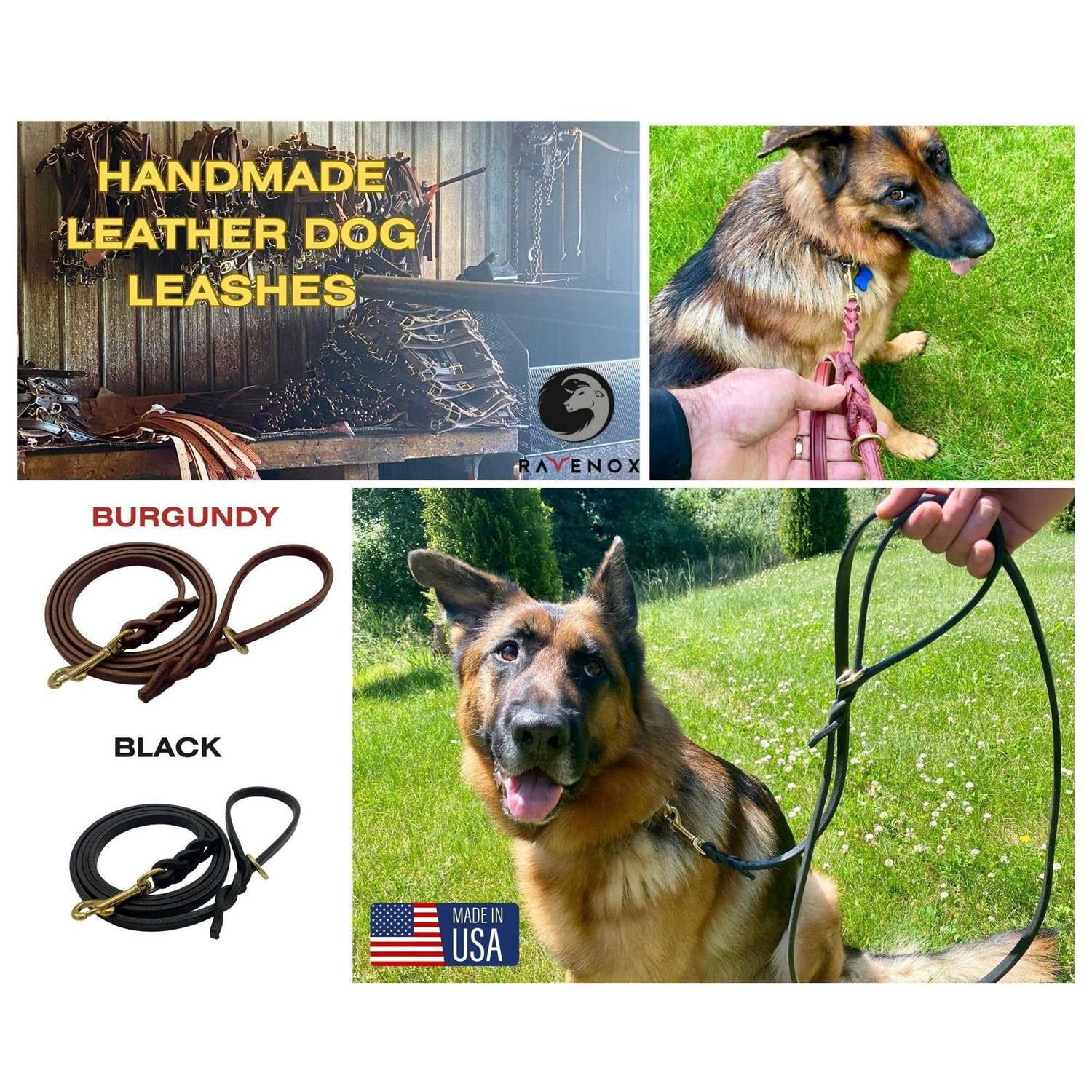 Ravenox 6 FT Braided Leather Dog Leash - Healthber