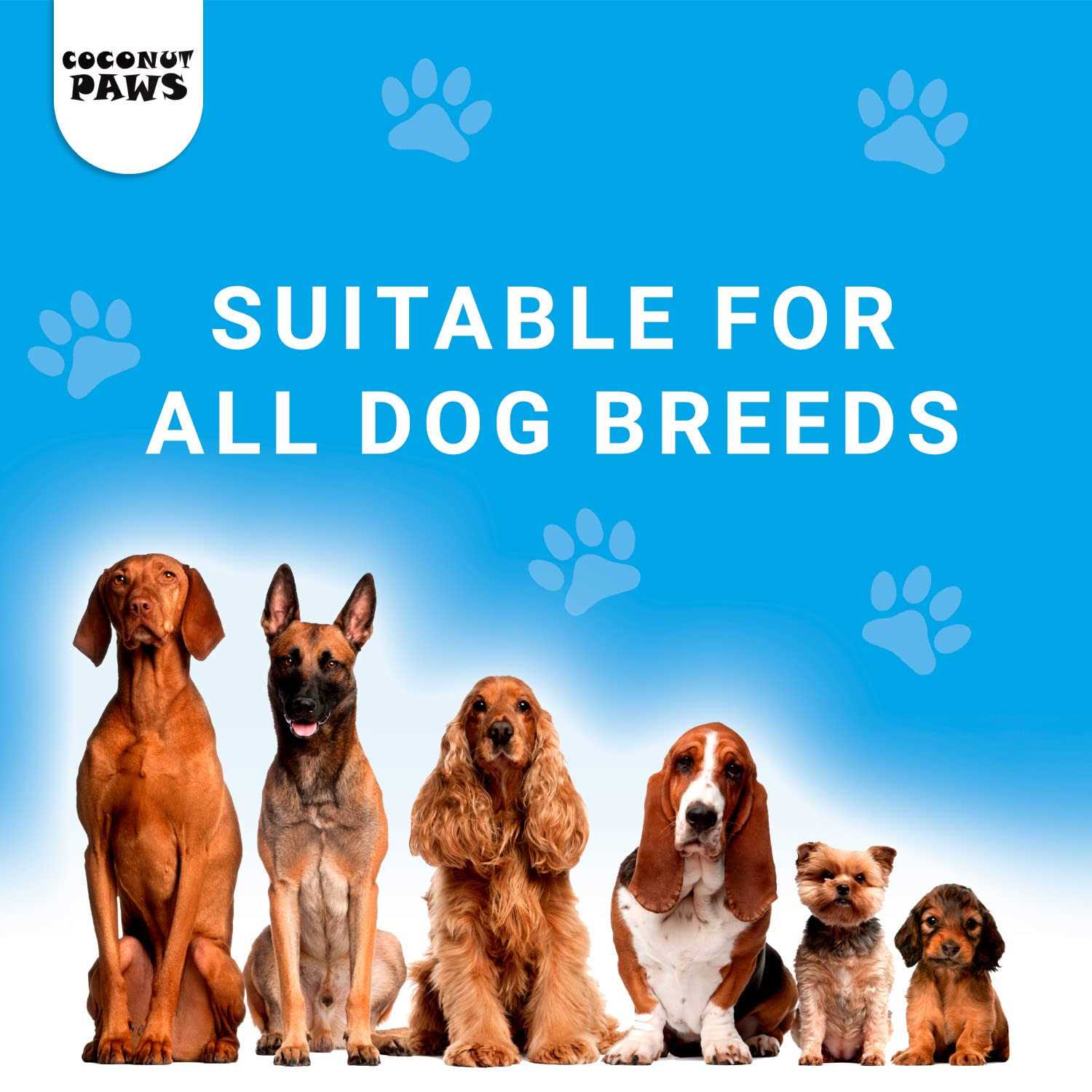 Coconut Paws Coconut Oil for Dogs Skin, Hair, Ears, Teeth, and Nails. Organic Cold Pressed unrefined Coconut Oil, Virgin Olive Oil and Sunflower Oil - Healthber