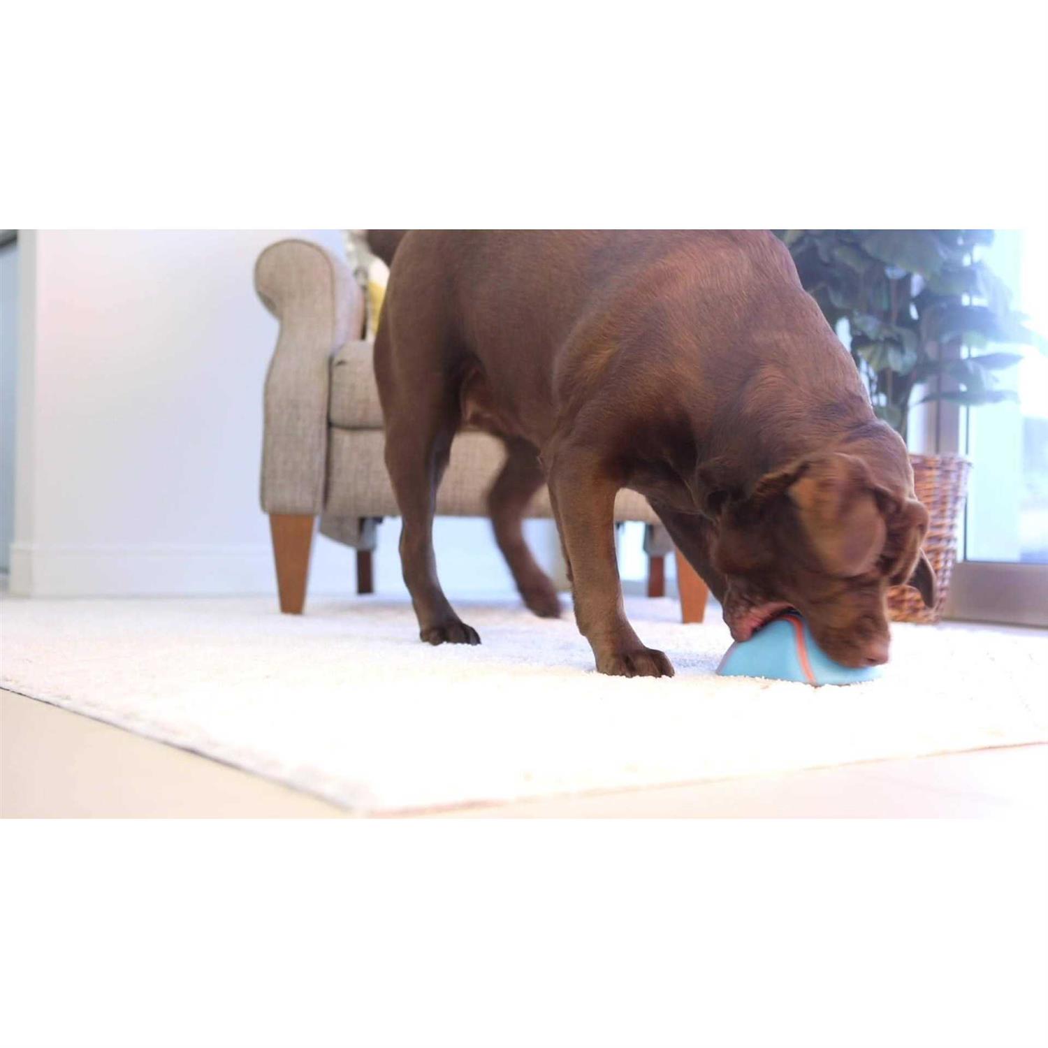 Chuckit! Indoor Super Slider Dog Toy - Healthber