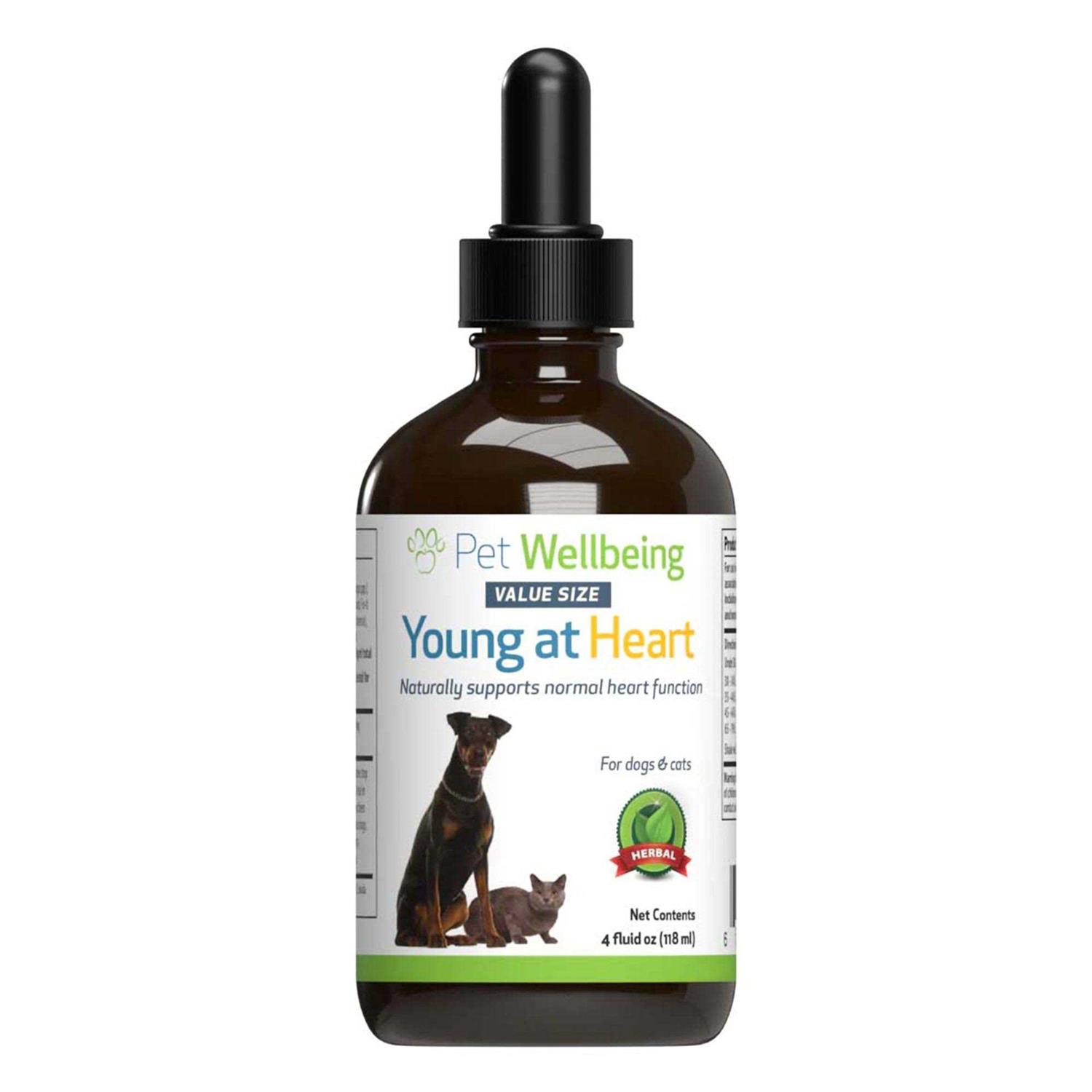 Pet Wellbeing Young at Heart for Cats - Healthber