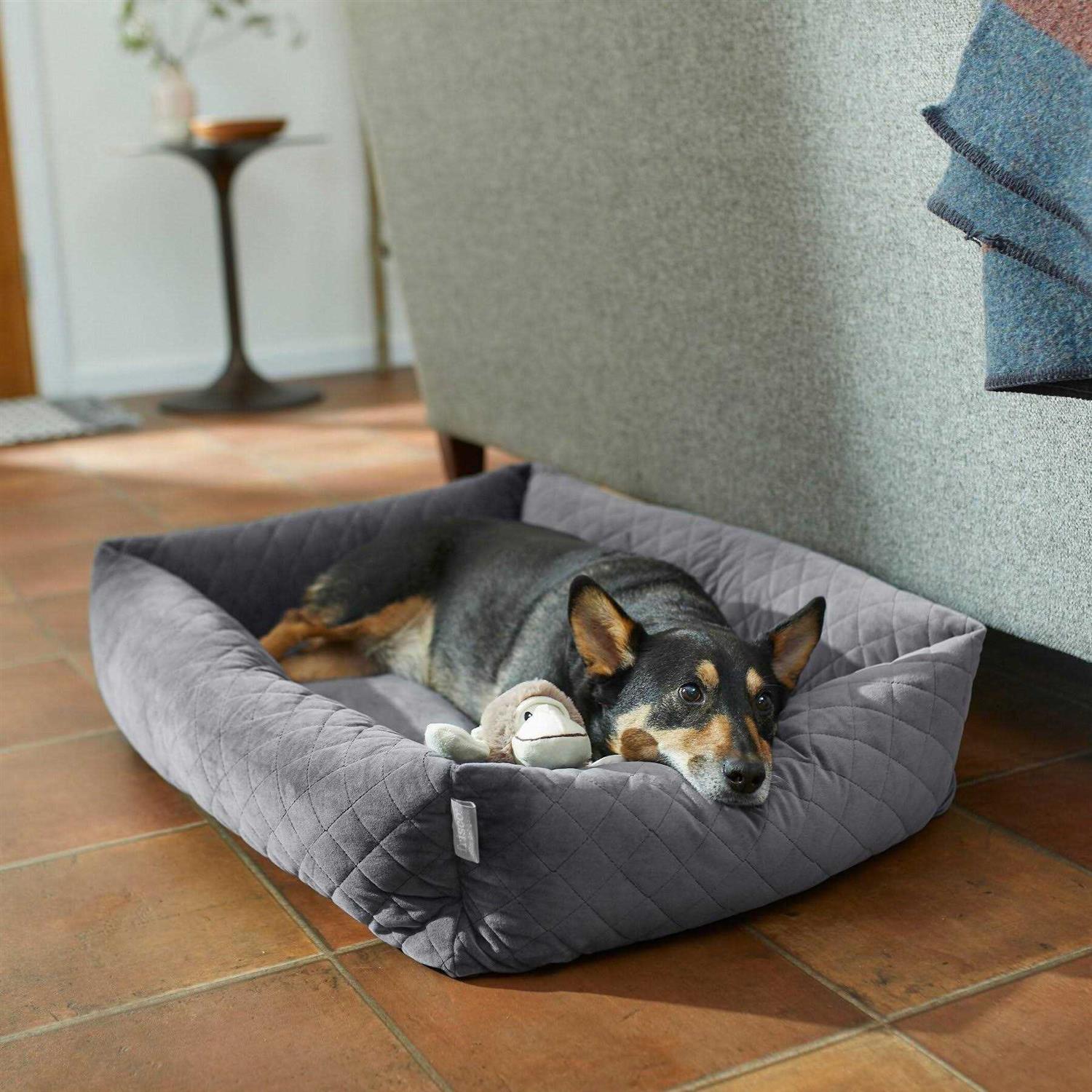 Frisco Velvet Rectangular Bolster Cat Dog Bed - Healthber