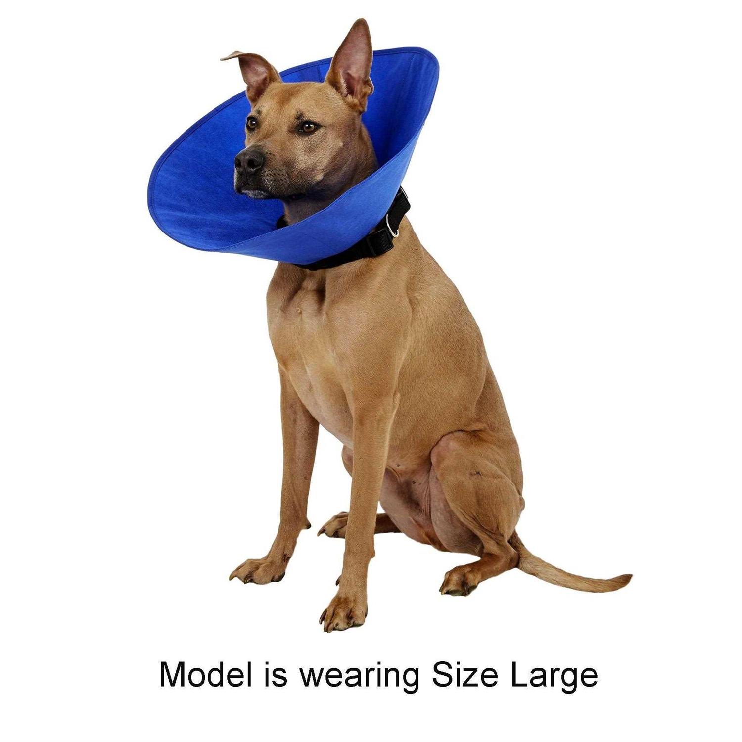 Alfie Pet Recovery Collar - Healthber