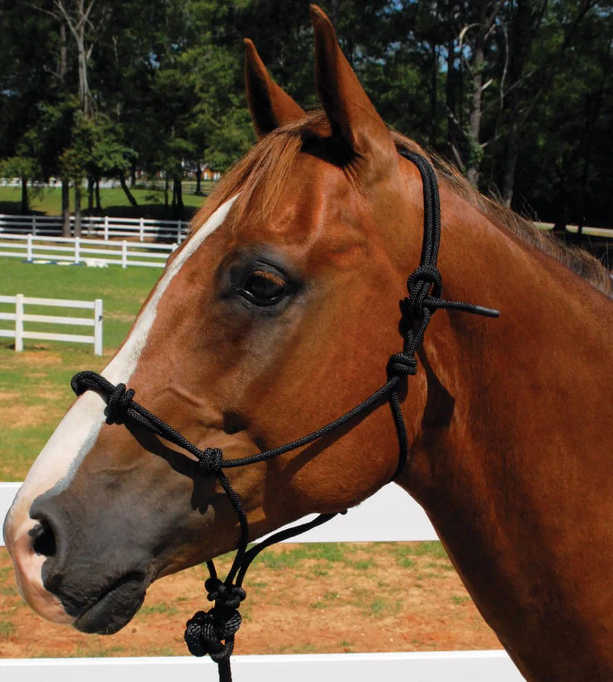 Knotted Rope Horse Training Halter - Healthber
