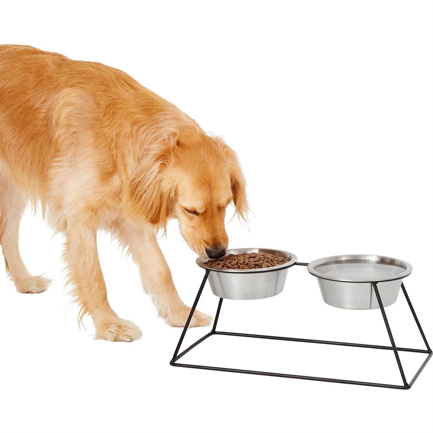 Frisco Pyramid Elevated Dog & Cat Diner - Healthber