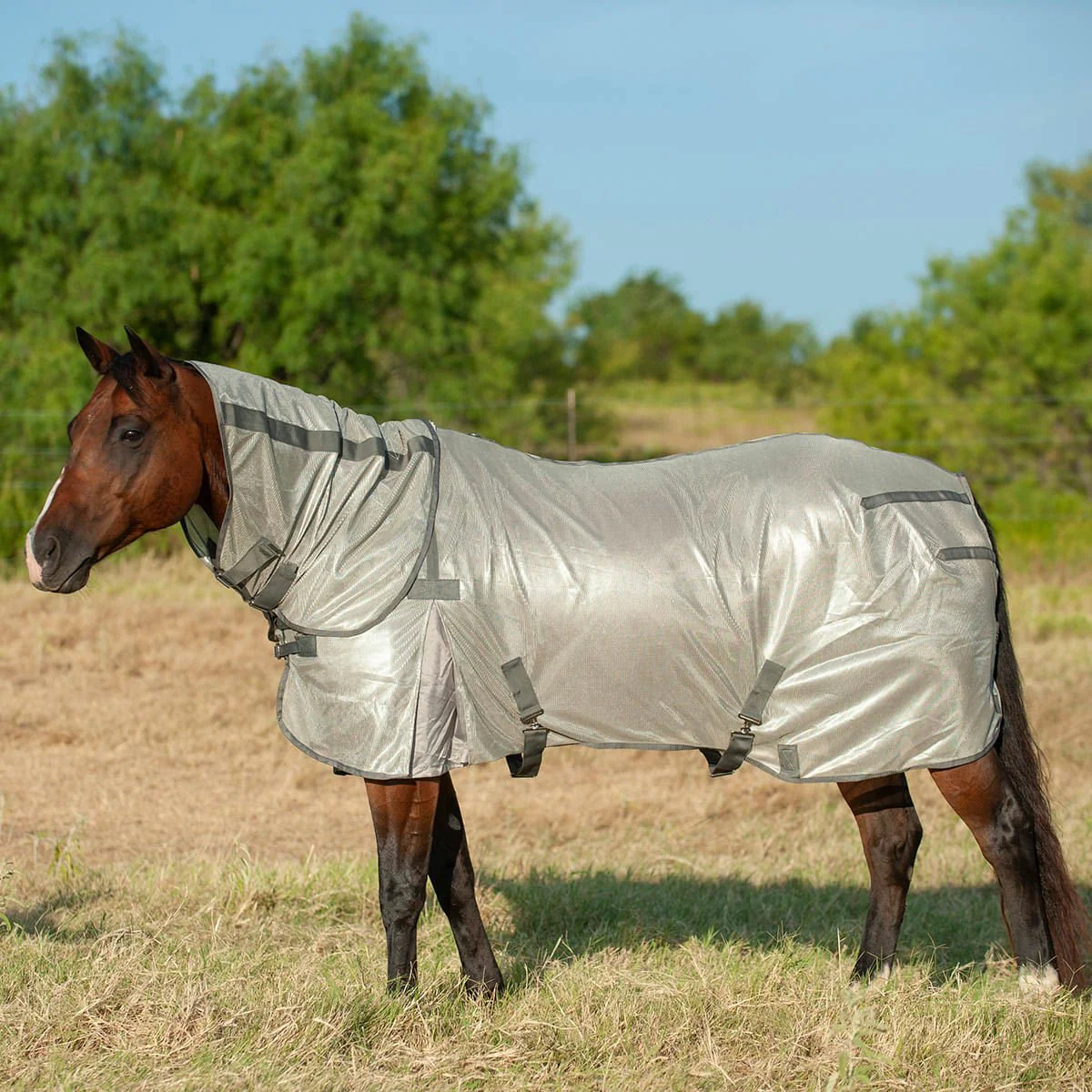 Cashel Economy Horse Fly Sheet with Neck Guard - Healthber