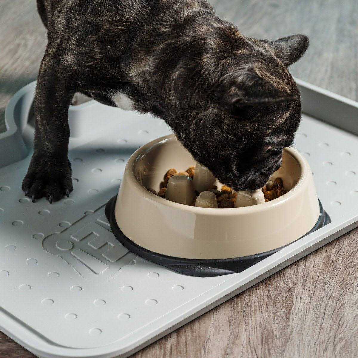 IRIS USA Slow Feeding Bowl for Short Snouted Pets - Healthber