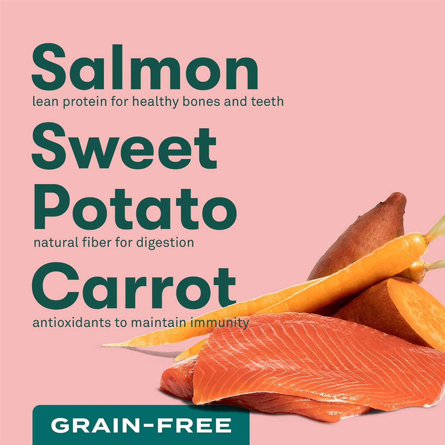 Jinx Salmon Sweet Potato Carrot Grain Free Dog Food - Healthber