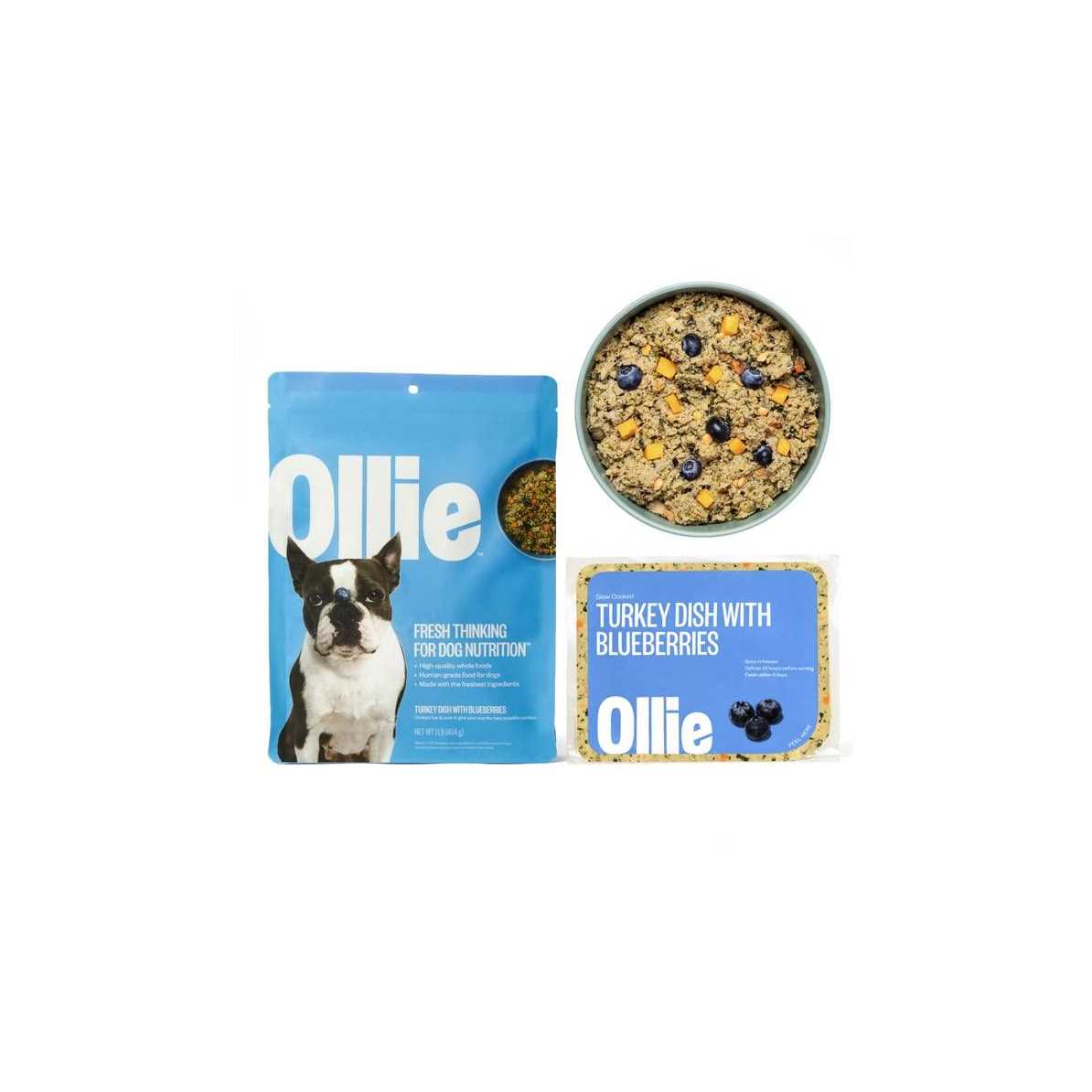 Ollie Fresh Turkey Dish with Blueberries Frozen Dog Food - Healthber
