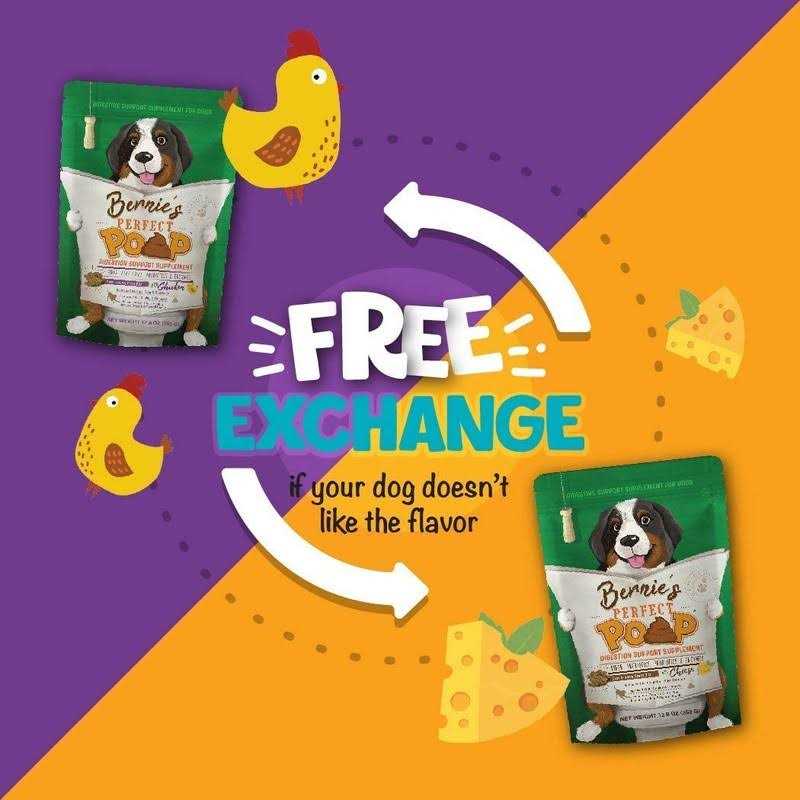 Bernie’s Perfect Poop Supplement - Healthber