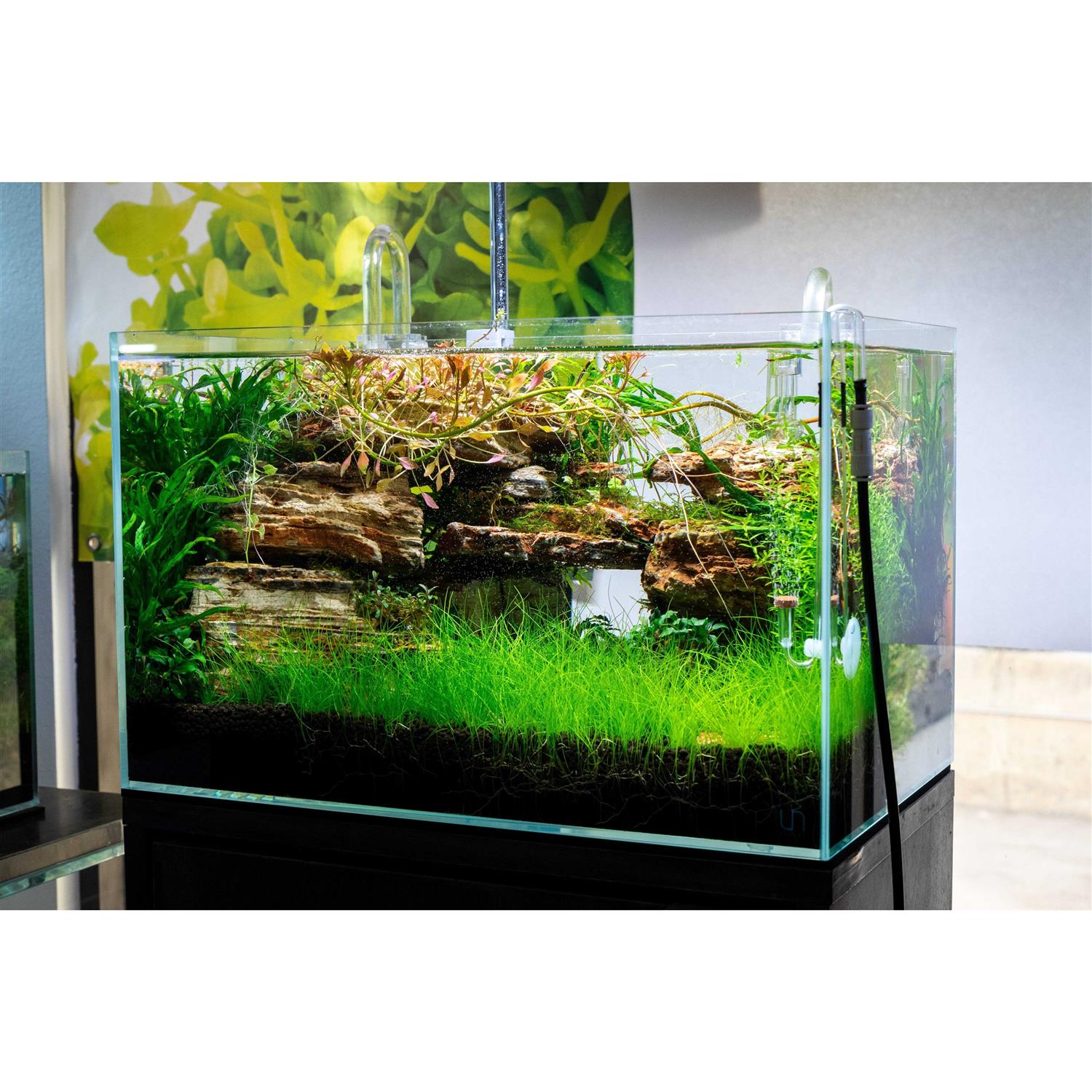 Ultum Nature Systems Rimless Aquarium UNS 45U 9 gallons - Healthber