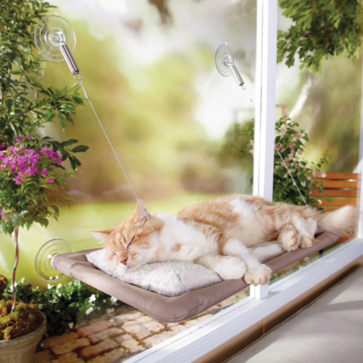 Sunny Seat Window Perch - Healthber