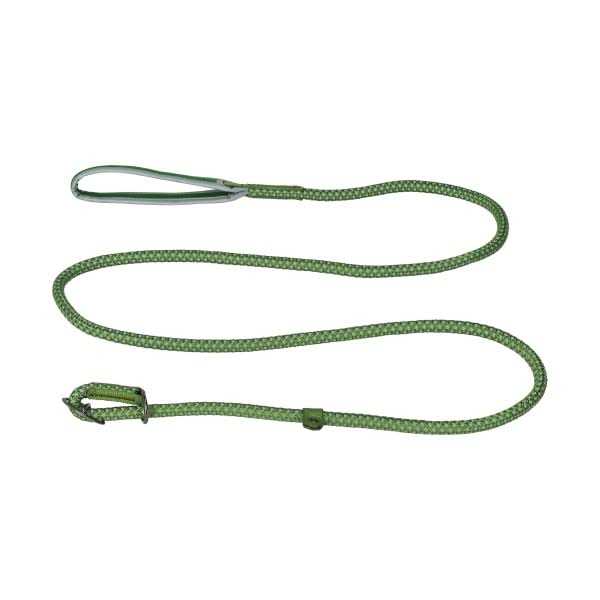 Cabela’s Hi-Vis Dog Leash - Healthber