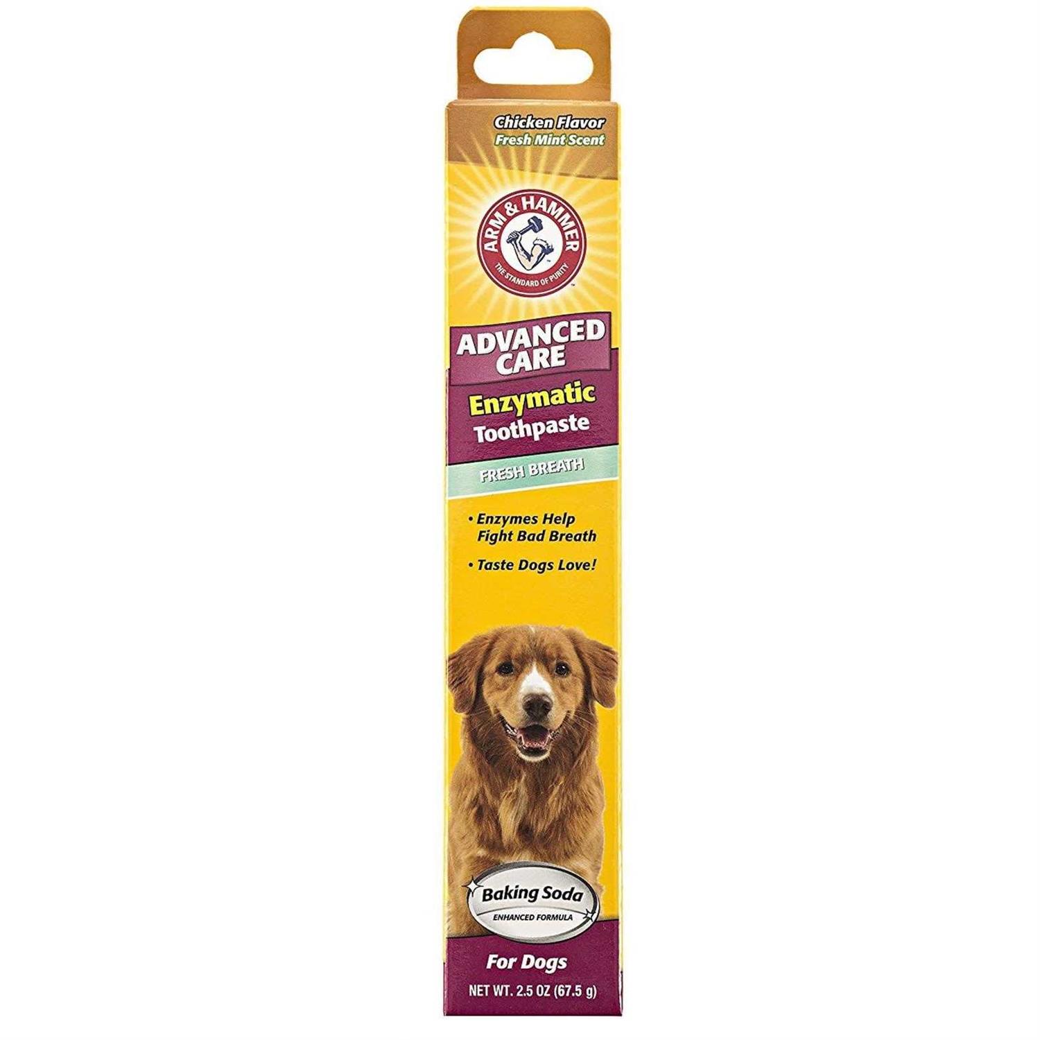 Arm & Hammer Dental Fresh Breath Enzymatic Toothpaste for Dogs - Healthber