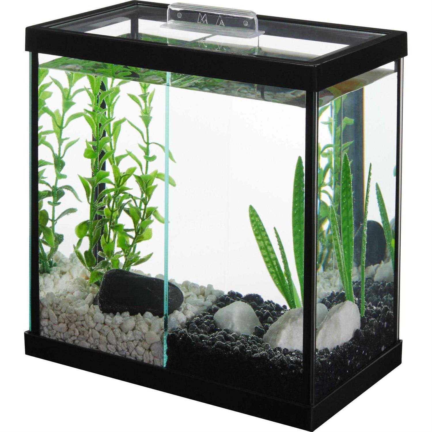 Frisco 2 Betta Aquarium with Divider/Top - Healthber