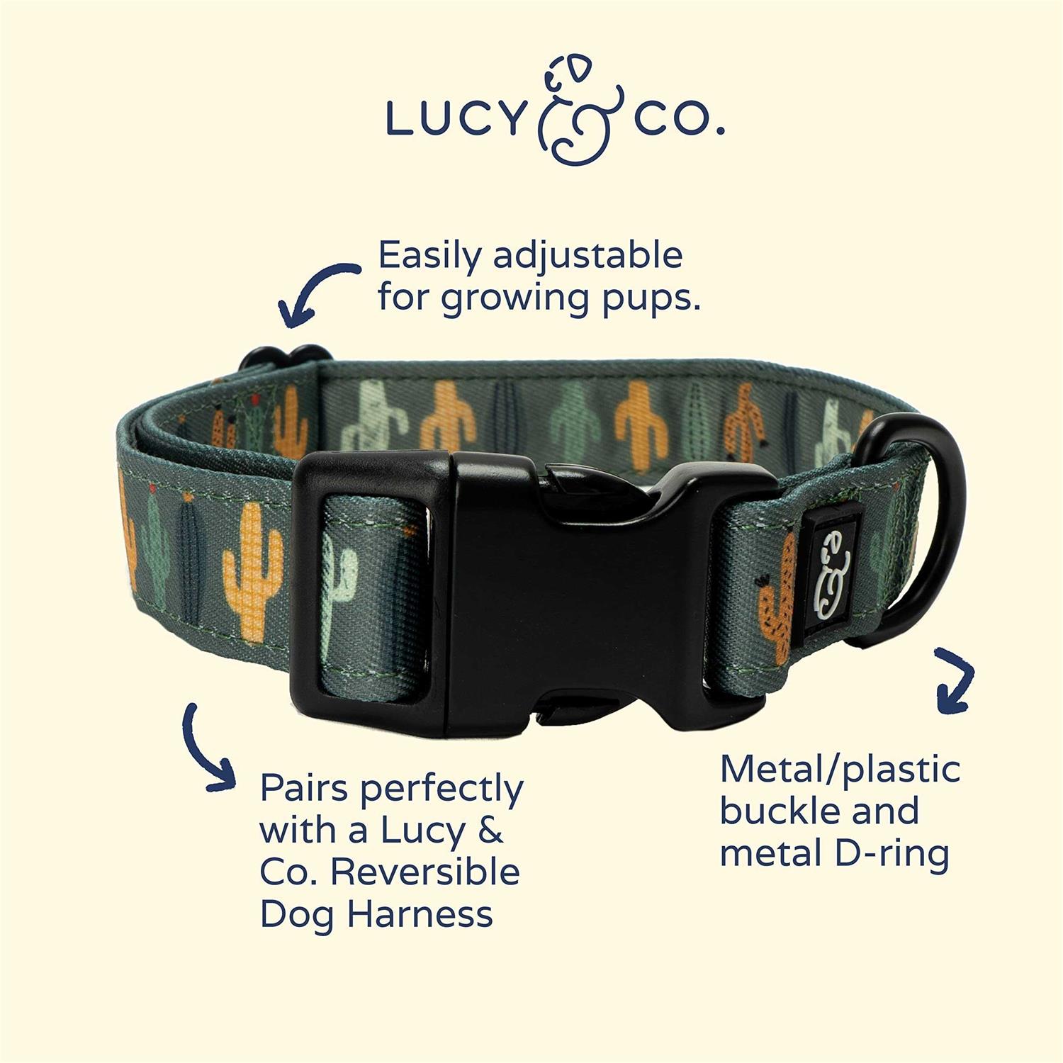 Lucy & Co. Posy Pink Dog Collar - Healthber