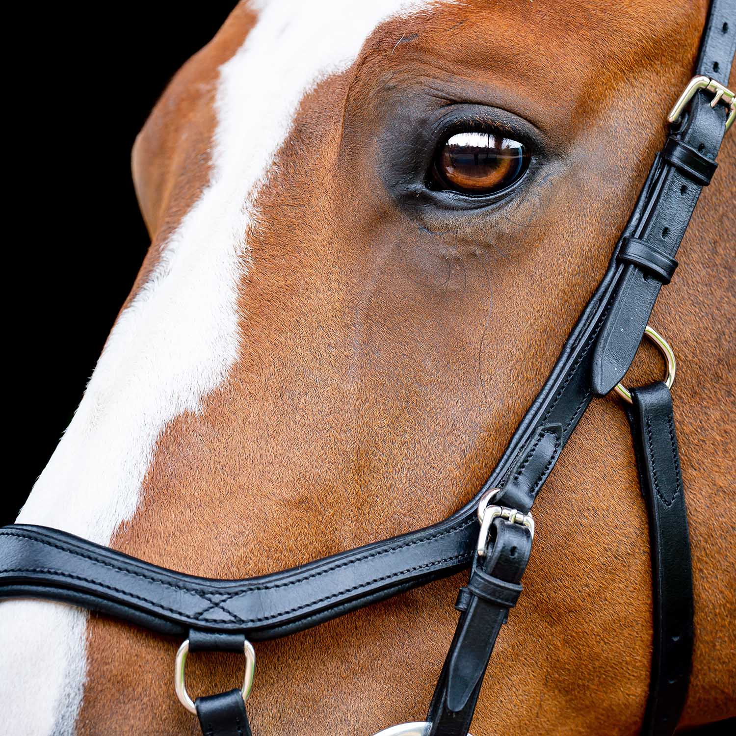Micklem 2.0 Competition Bridle, Black - Healthber