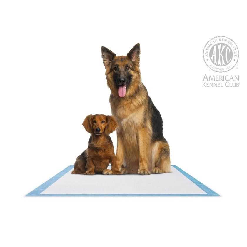 American Kennel Club 28 x Training Pads - Healthber