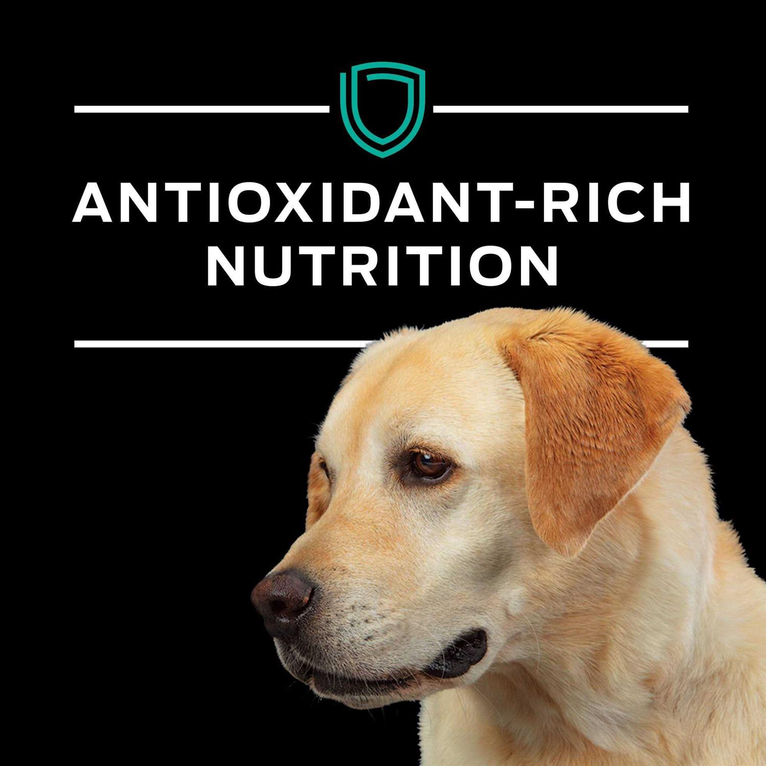 Purina Pro Plan Veterinary Diets EN Gastroenteric Formula Dry Dog Food - Healthber