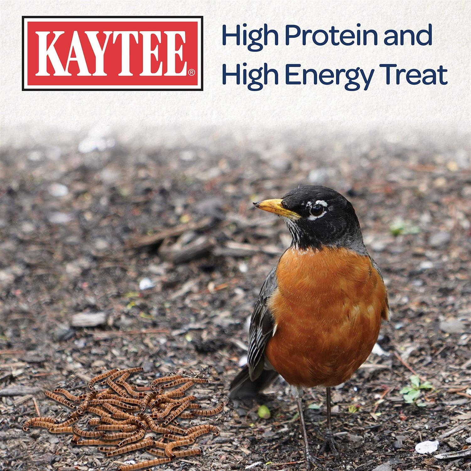 Kaytee Mealworms Bird Food - Healthber