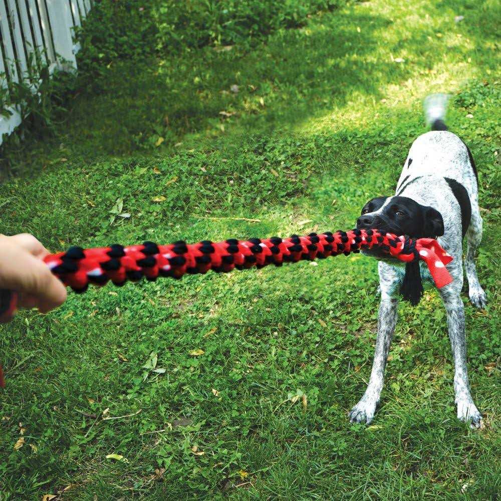 KONG Signature Double Tug Rope Dog Toy - Healthber