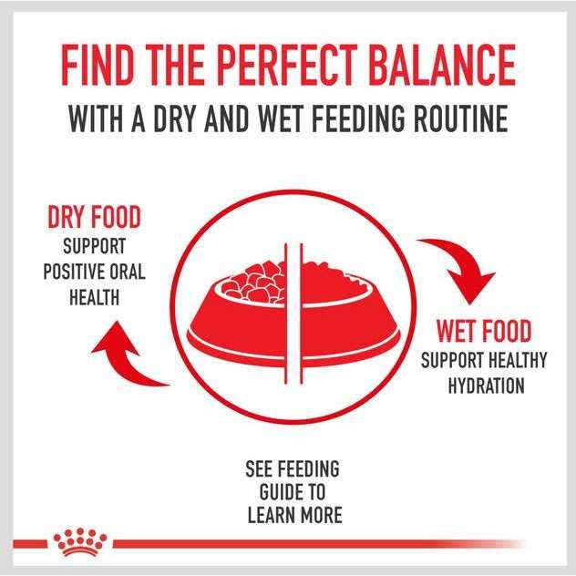 Royal Canin Veterinary Diet Urinary SO Aging 7+ Dry Dog Food - Healthber