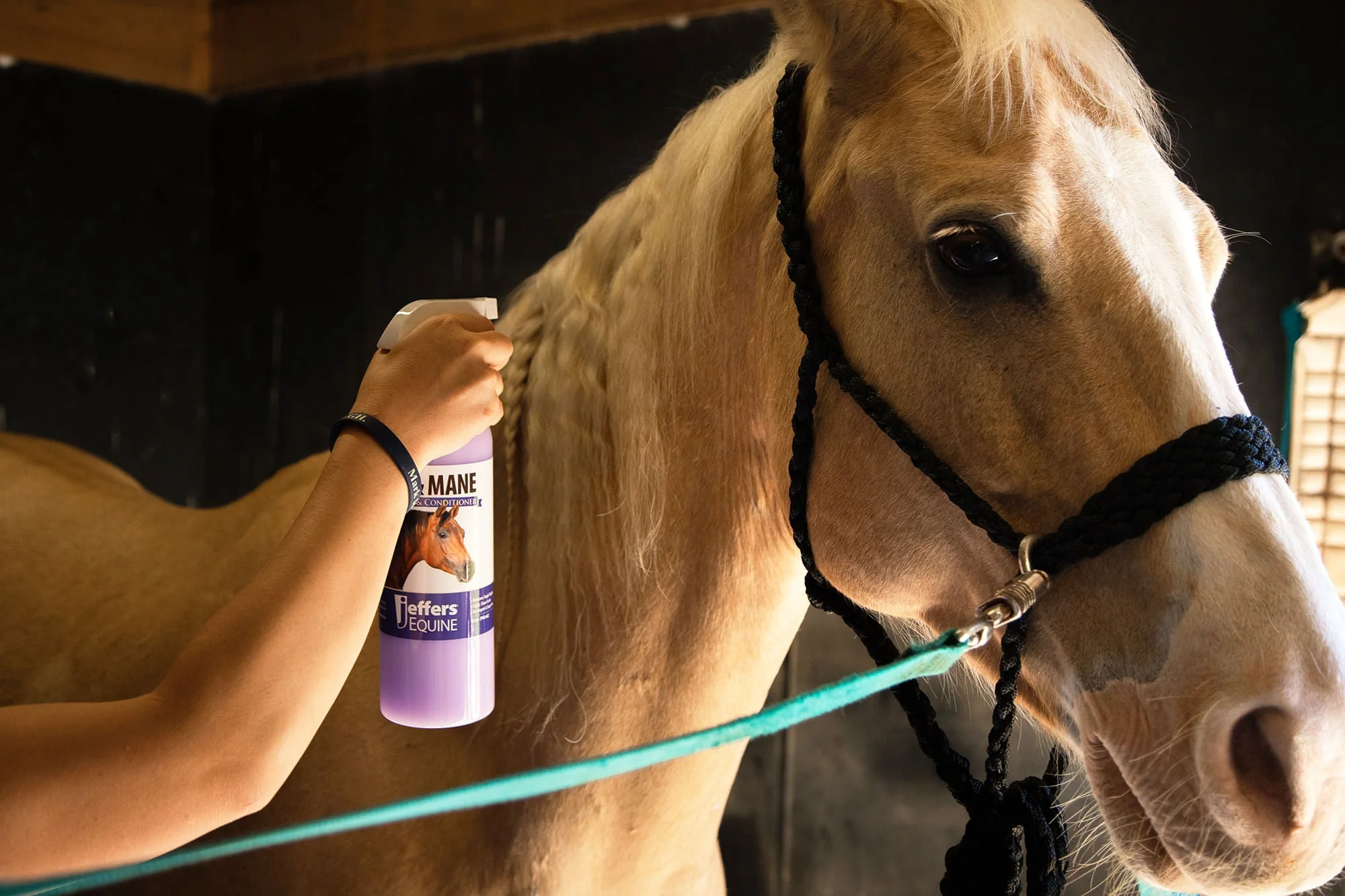 Equine Tail & Mane Detangler & Conditioner for Horses - Healthber
