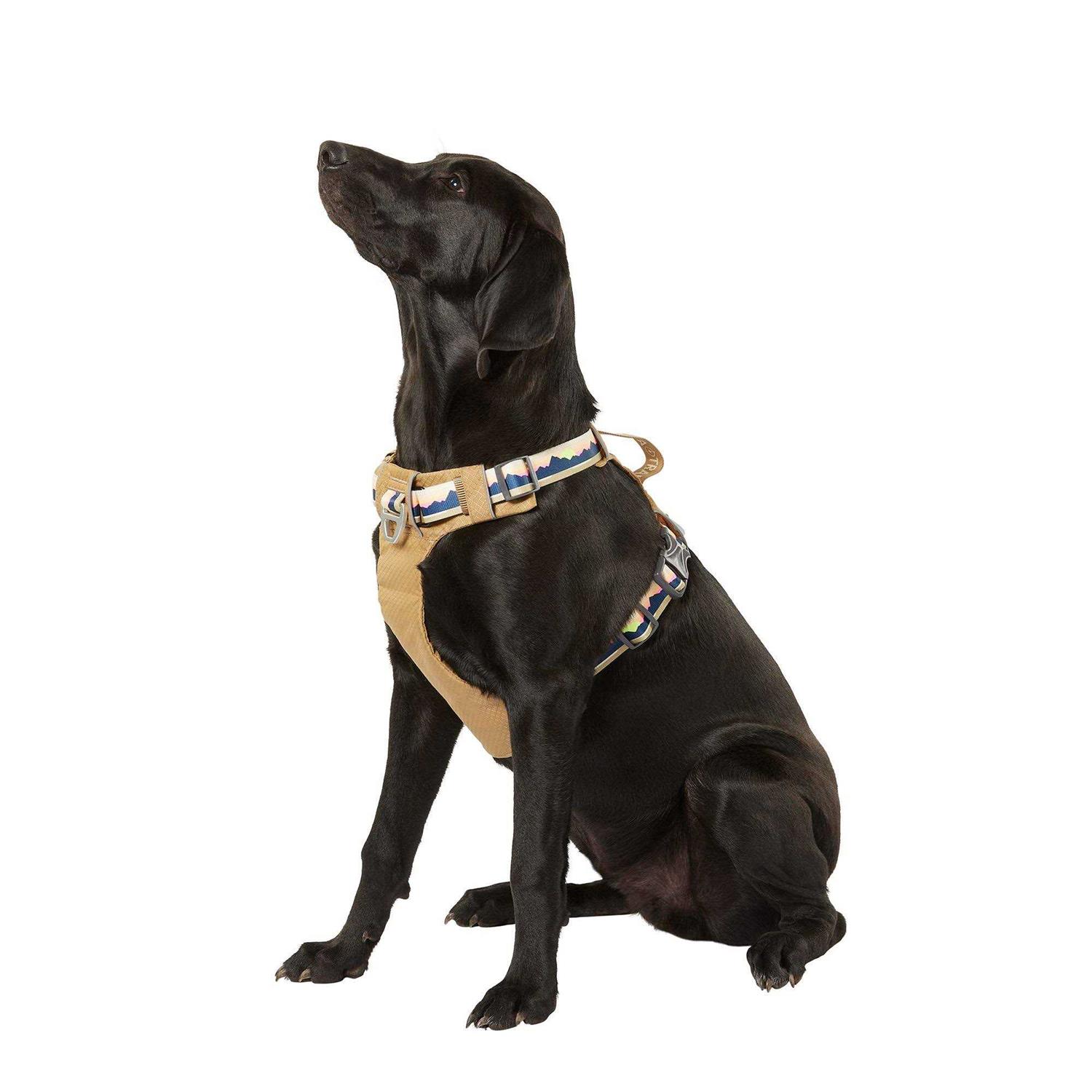 Arcadia Trail Lightweight Dog Harness - Healthber