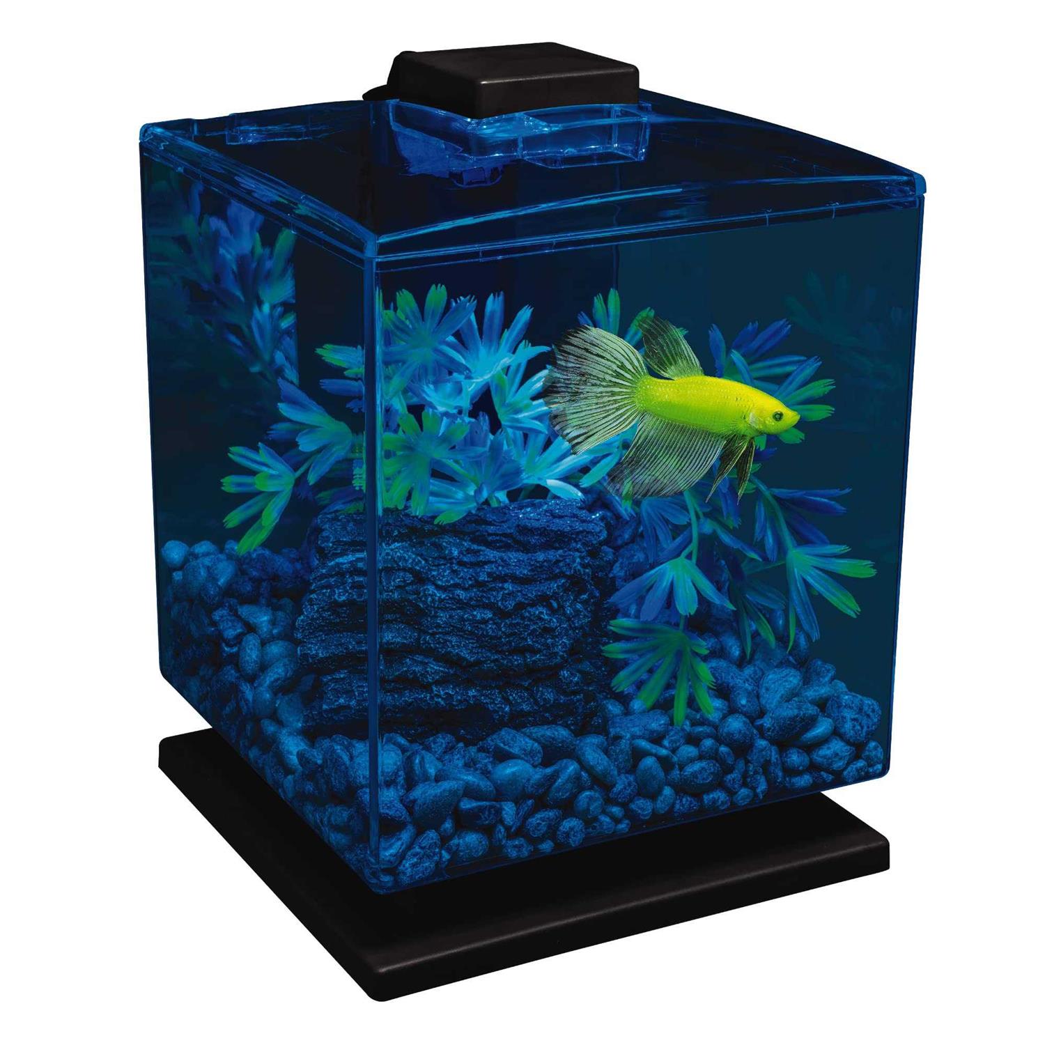 Tetra GloFish Cube Aquarium Kit - Healthber