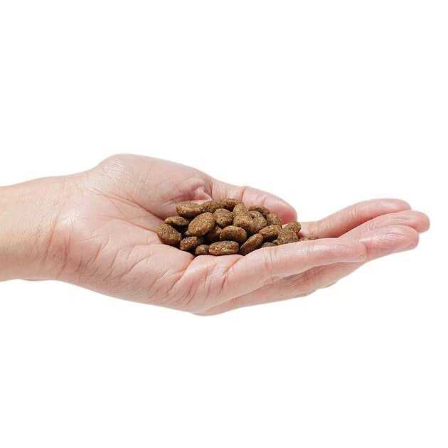 Dr. Pol Dog Food Grain-Free - Healthber