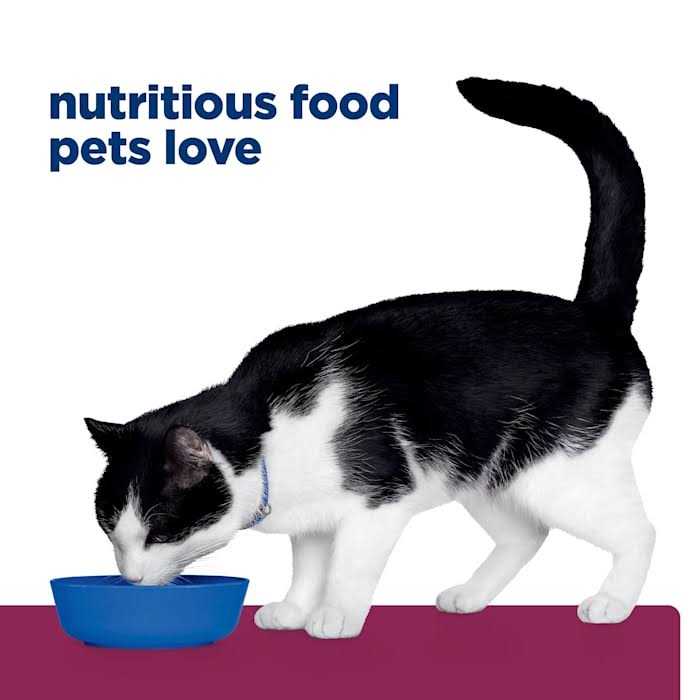 Hill’s Prescription Diet Prescription Diet i/d Cat Nutrition - Healthber