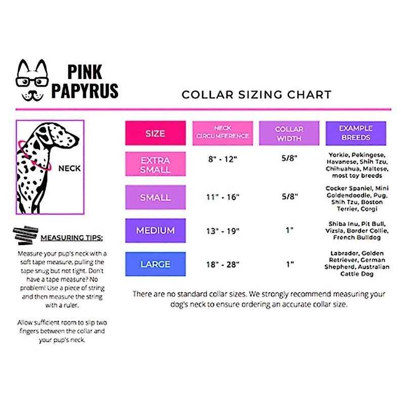 Pink Papyrus Isabella Collar - Healthber