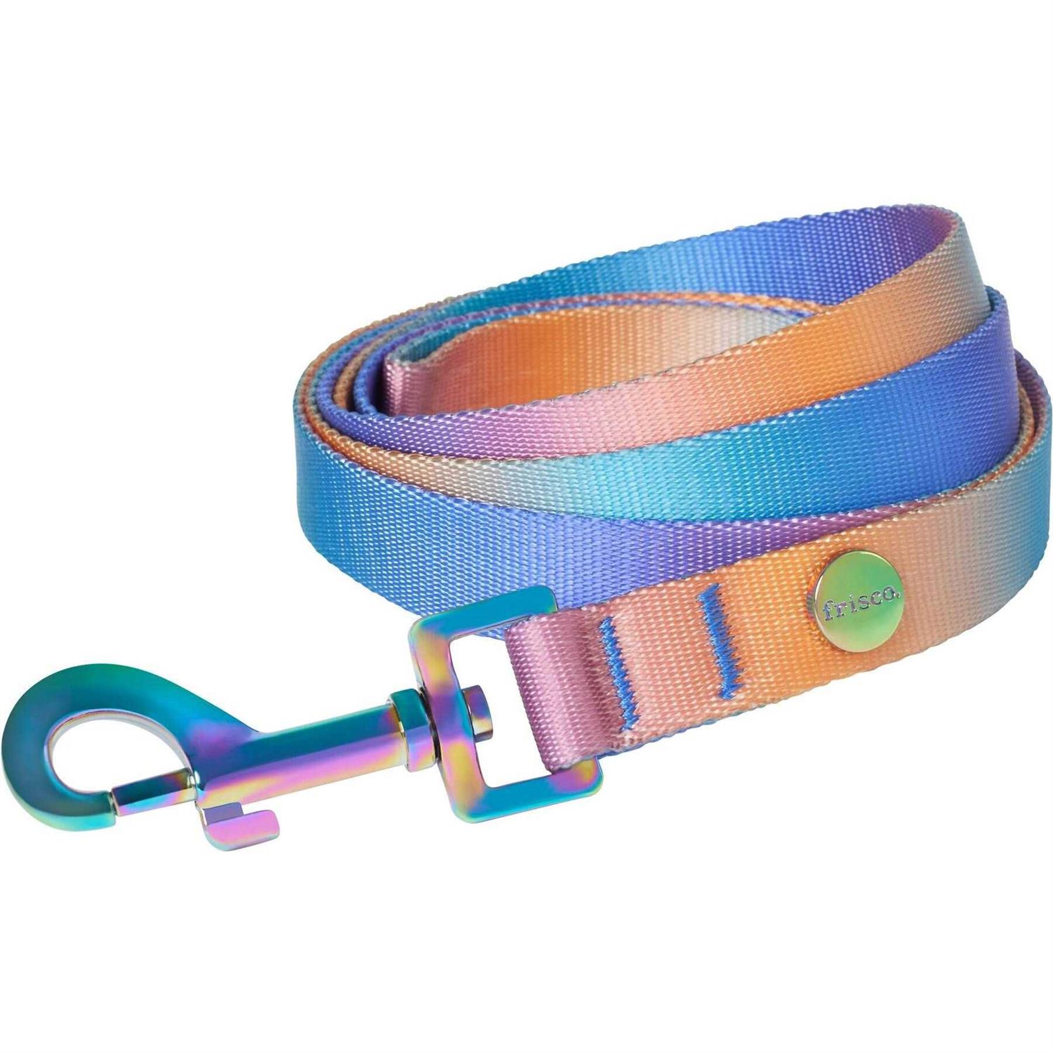 Frisco Ombre Style Dog Leash - Healthber