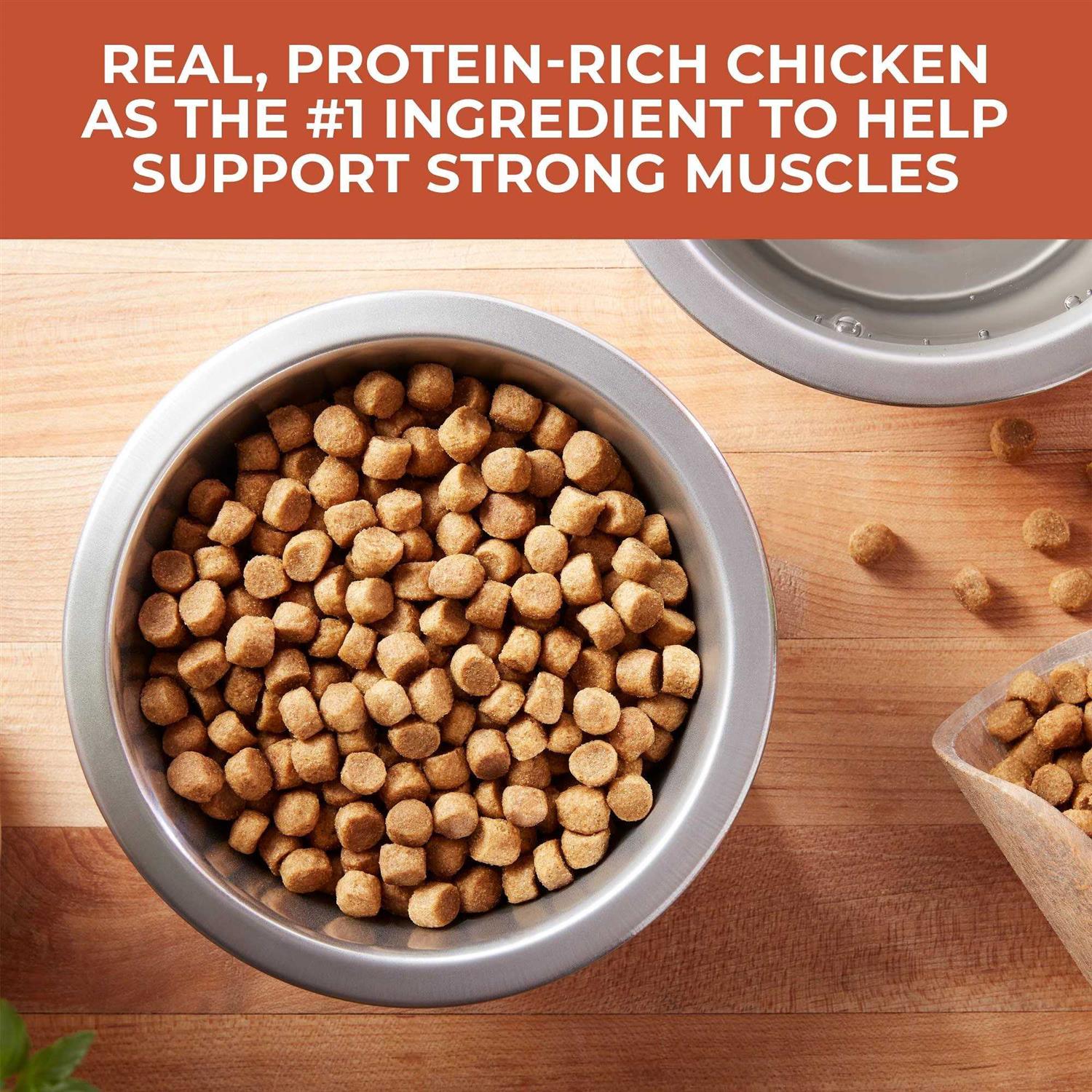 Nature’s Recipe Adult Chicken & Rice Recipe Dry Dog Food - Healthber